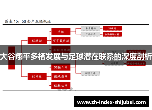 大谷翔平多栖发展与足球潜在联系的深度剖析